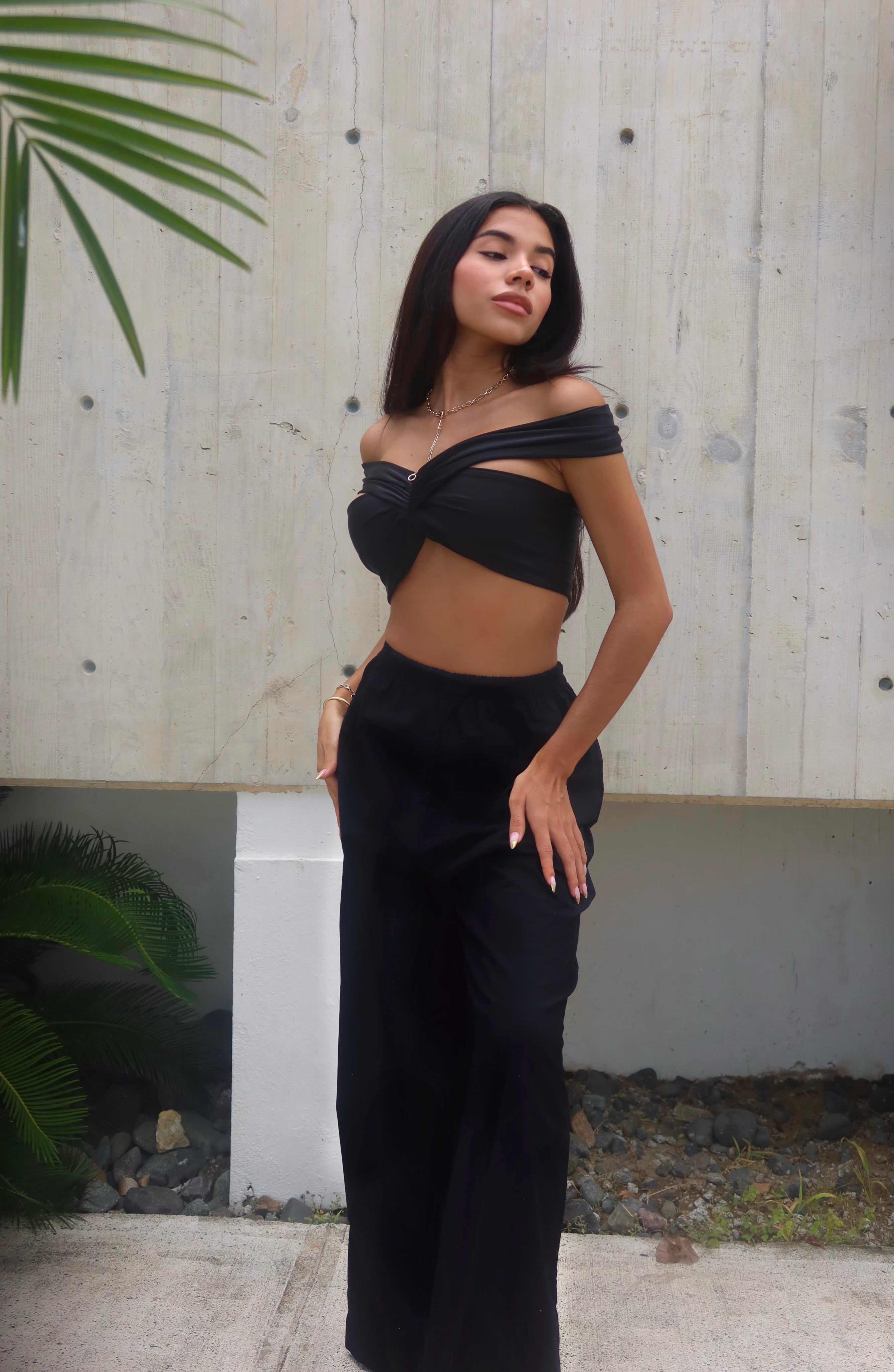 Romana Wide Leg Pants and Crop Top