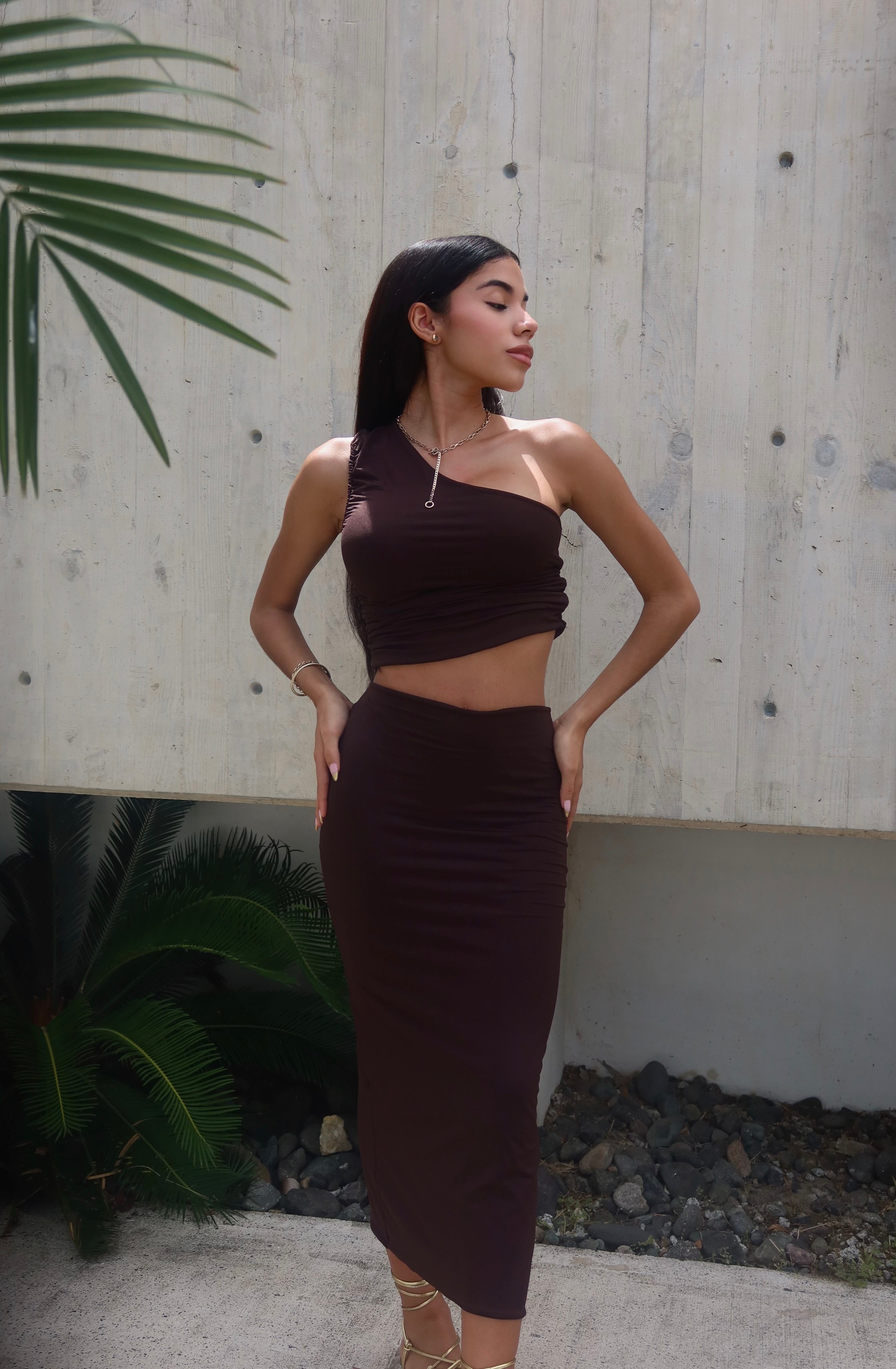 Chocolate One Shoulder and Skirt Set
